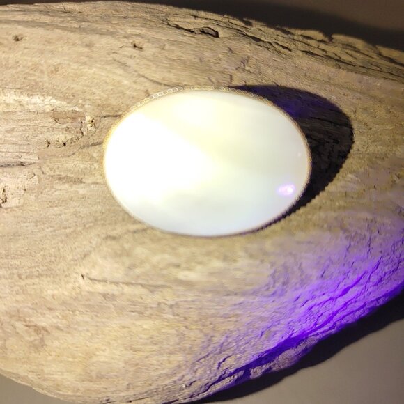 Oval Mother Pearl Scarf Clip Pony Tail  Hair Cover Vintage Secure Hinge Closure - Picture 16 of 16